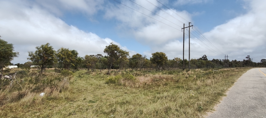 0 Bedroom Property for Sale in Greenbushes Eastern Cape